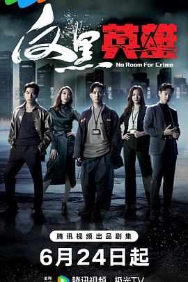 敌后武工队电影